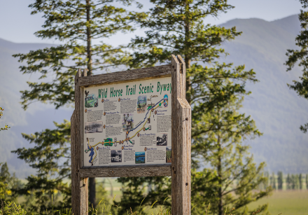 An interpretive sign featuring the words Wild Horse Trail Scenic Byway with detailed information and historical images.